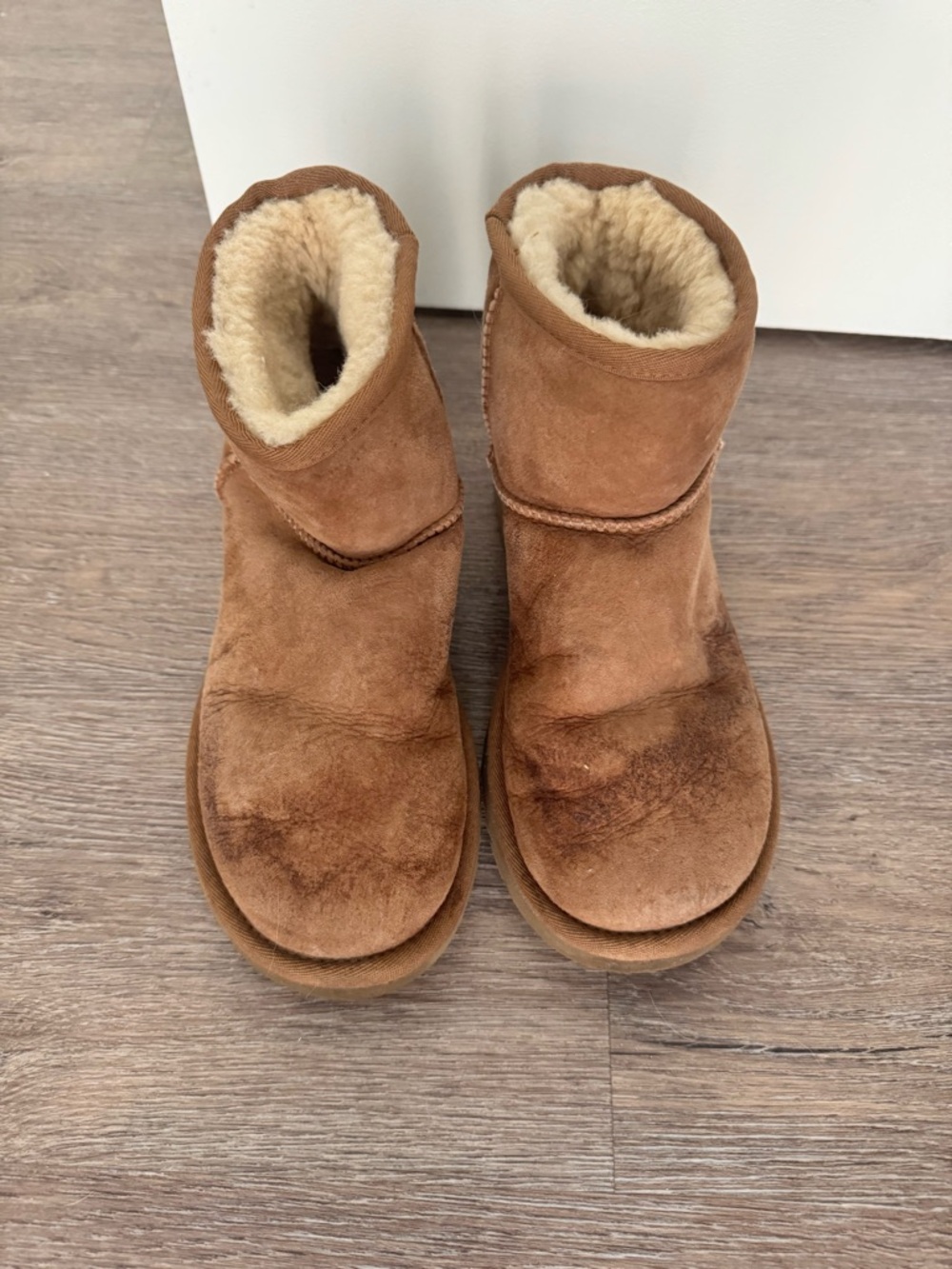 Chestnut Uggs - Cozy Brown